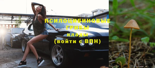 альфа пвп Гусиноозёрск