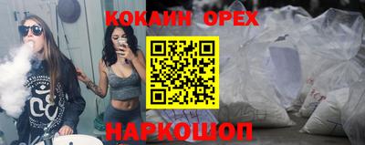 крисы Новозыбков