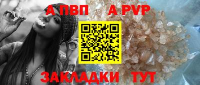 крисы Новозыбков